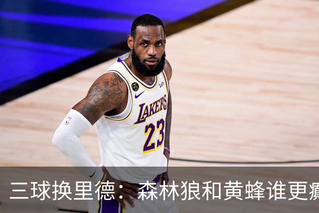 三球换里德：森林狼和黄蜂谁更癫？！