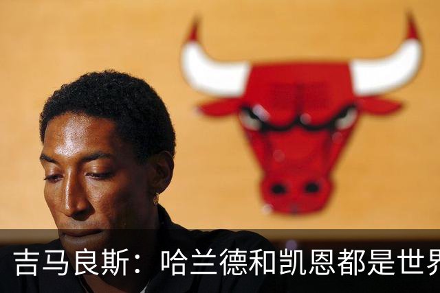 吉马良斯：哈兰德和凯恩都是世界最佳前锋，战挪威时要盯紧前者