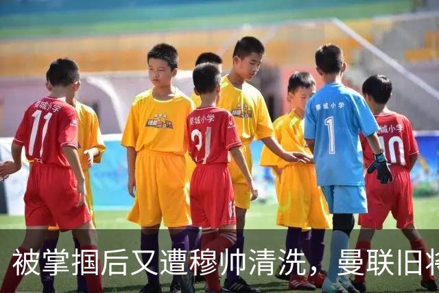 被掌掴后又遭穆帅清洗，曼联旧将有望回归，红魔今夏凑齐“三费”